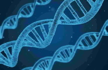 Saiba o que os testes genéticos podem fazer por sua saúde