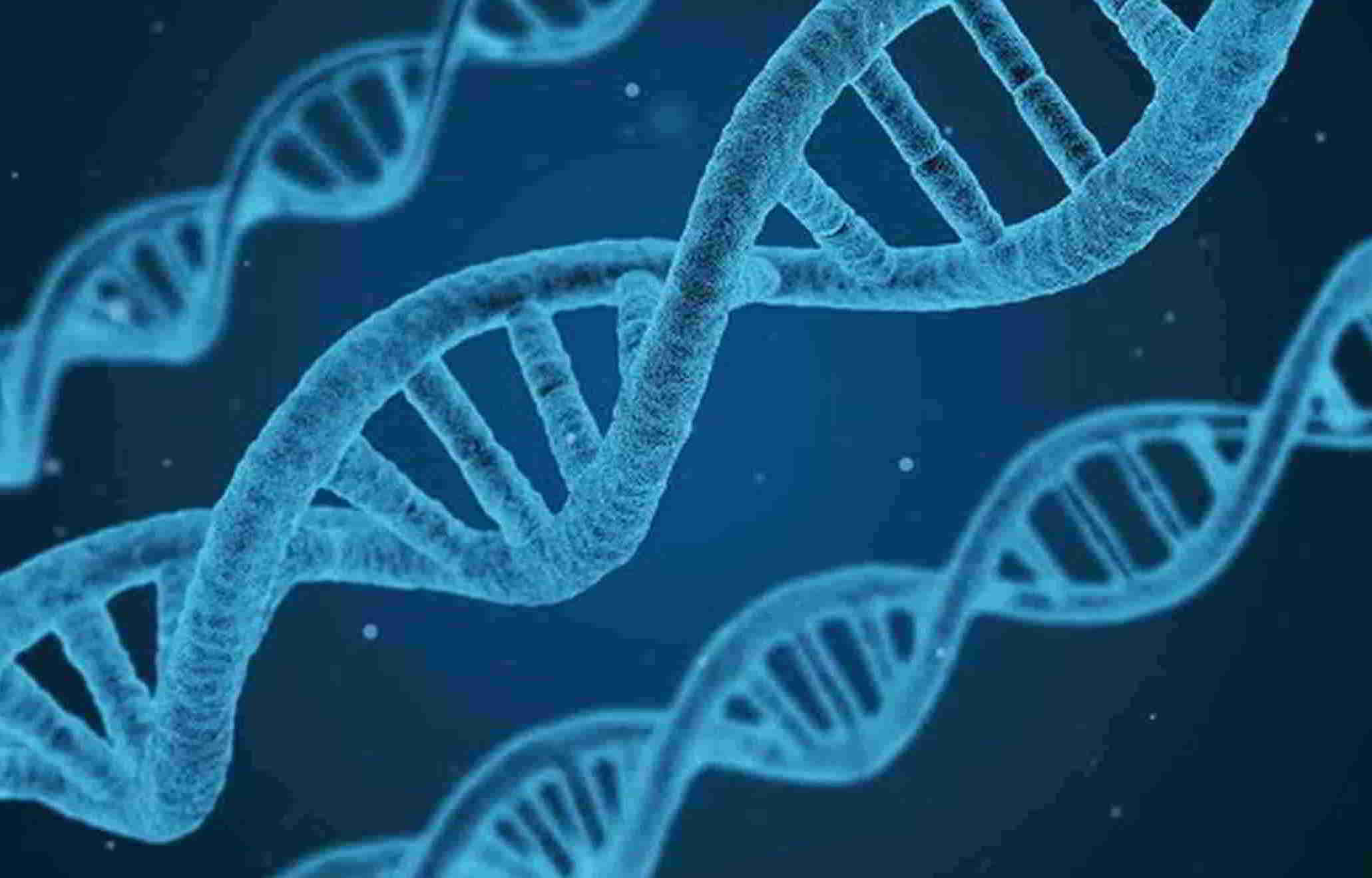 Saiba o que os testes genéticos podem fazer por sua saúde