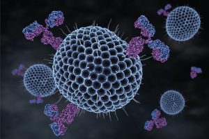 Imagem do Vírus do Herpes Zoster e alguns anti-corpos