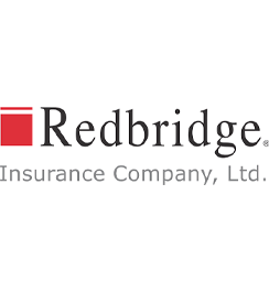 redbridge-logo-vita