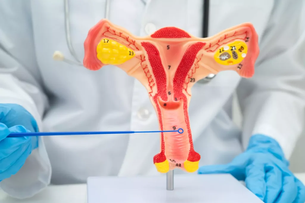 reposicao hormonal trh